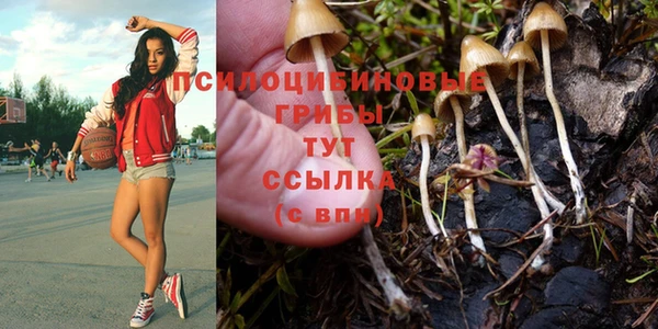 гашик Волосово