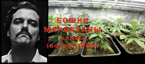 гашик Волосово