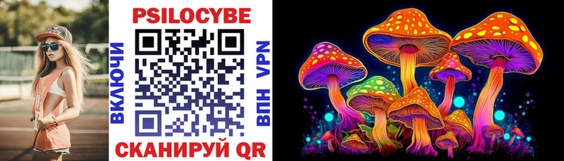 купить   Камень-на-Оби  Псилоцибиновые грибы Psilocybe 